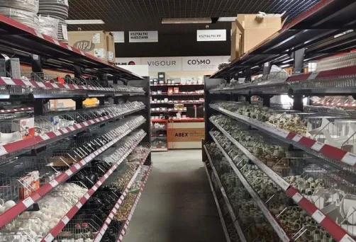 abex pruszcz gdański